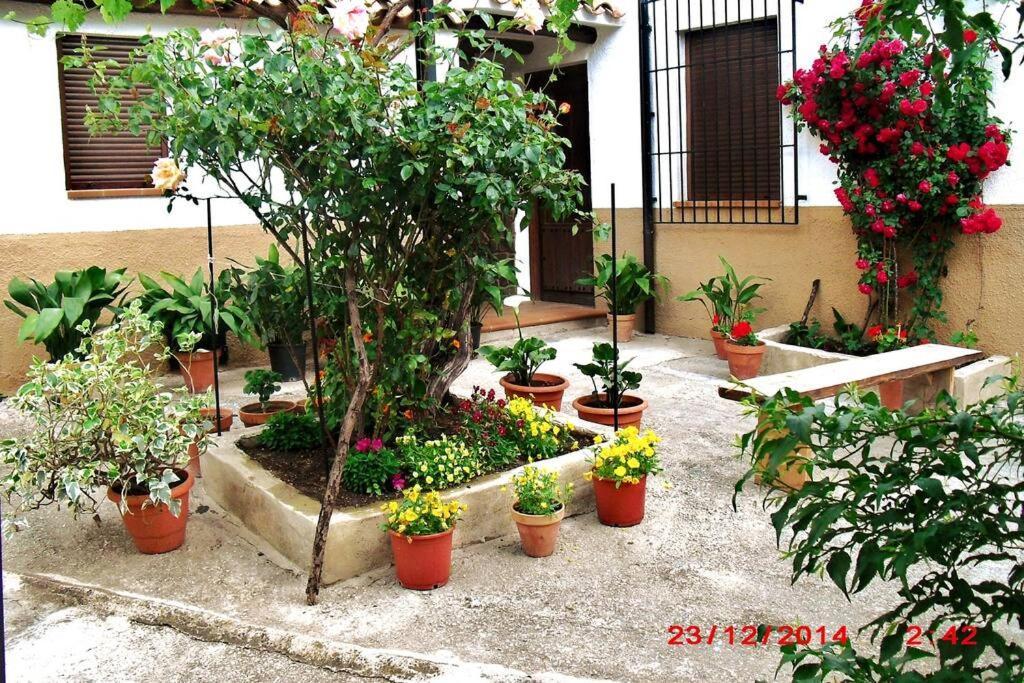 Villa Casa Del Abuelo 1 Yeste Exterior foto